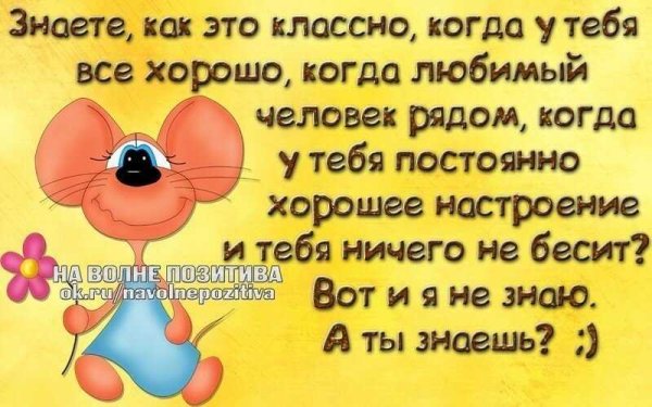 Смешные стишки для поднятия настроения