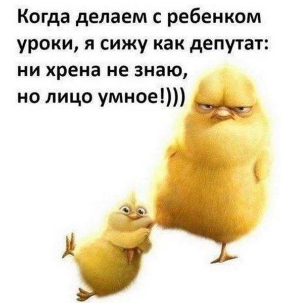 Приколы для поднятия настроения