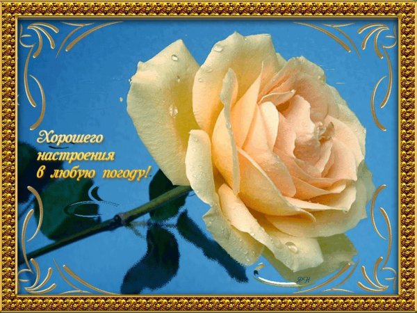 Отличного настроения в любую погоду