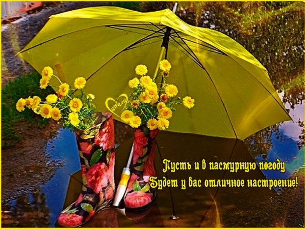 Зонтик с пожеланиями