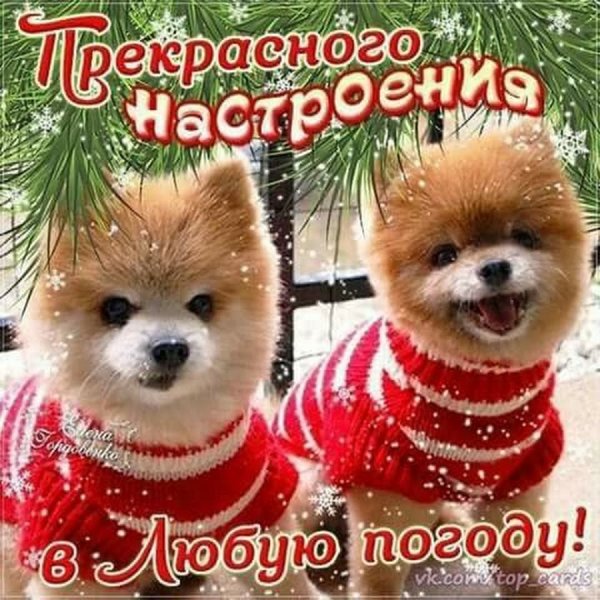 Хорошего настроения в любую погоду