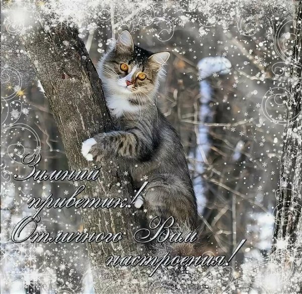 Хорошего дня зима