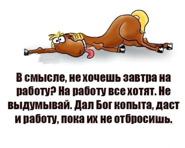 Смешные статусы про работу