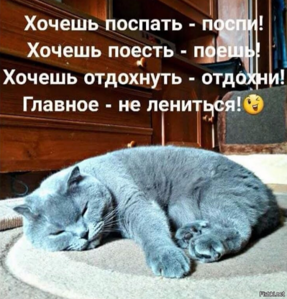 Желаю хорошо выспаться и набраться сил