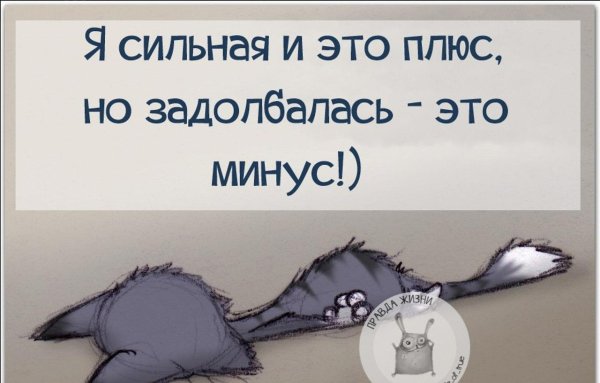 Цитаты про сон смешные