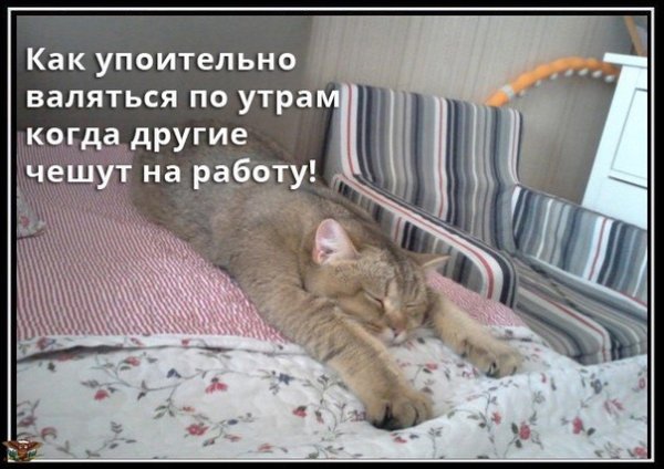 Когда другие чешут на работу прикольные картинки