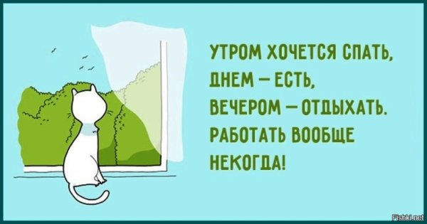 Рабочие будни цитаты смешные