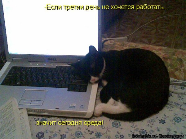 Когда хочется работать