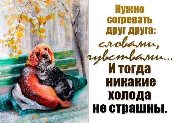 Душевного тепла в любую погоду