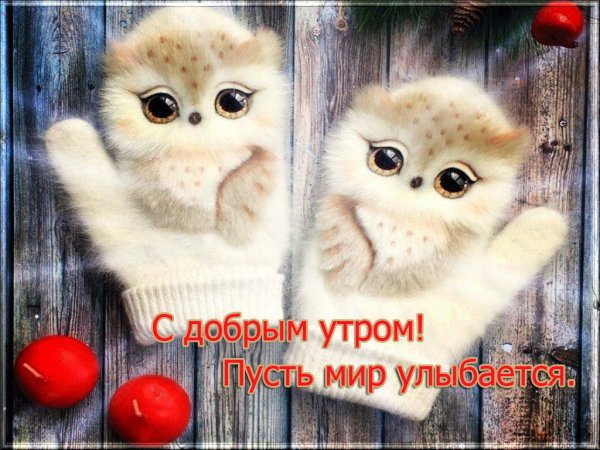 Открытки с добрым утром улыбнись