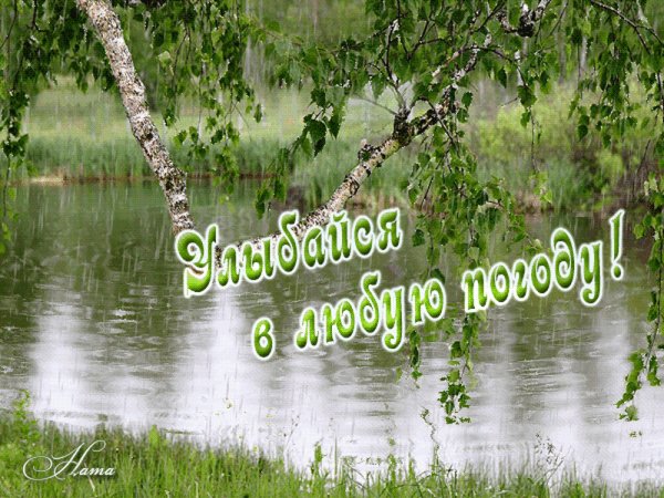 Доброе утро в любую погоду