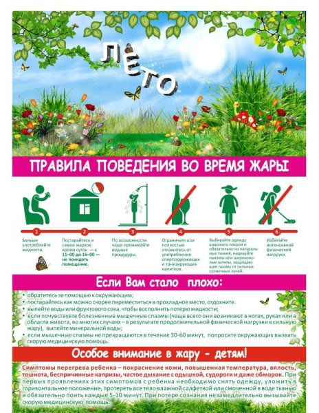 Правила безопасности в жару для детей