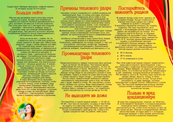 Памятки действия в жару