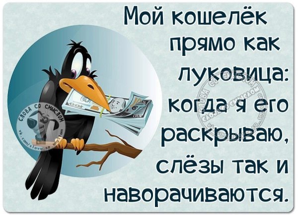 Юмор в картинках с надписями про жизнь