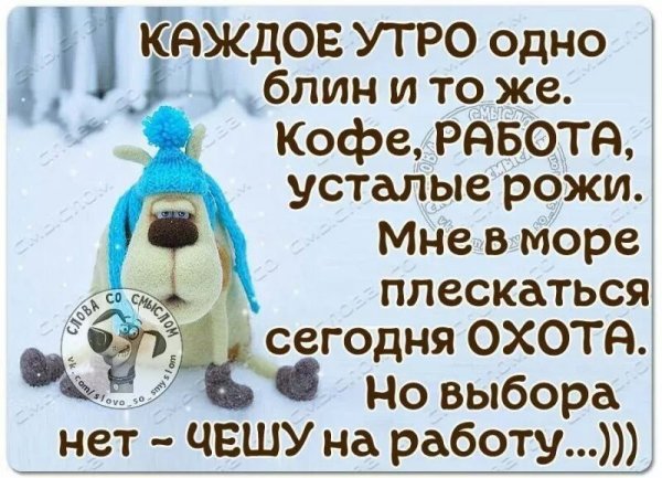 Доброе утро юмор