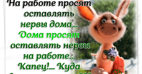 Статусы со смыслом