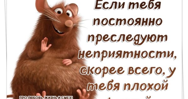 Цитаты про неприятности