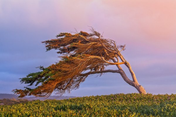 Сильный ветер м/с