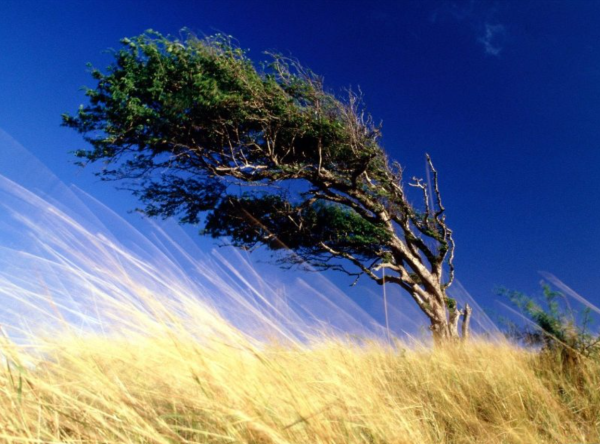 Природные явления ветер