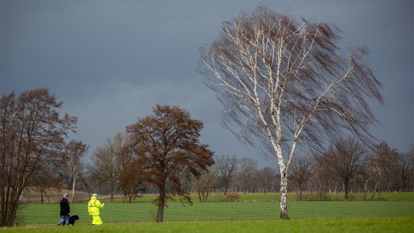 Сильный ветер Весна