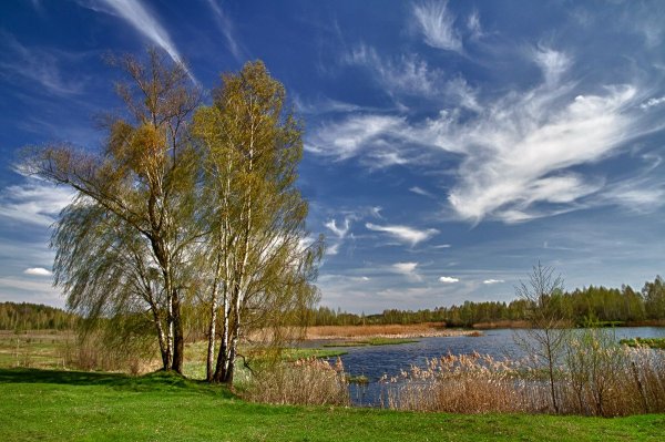 Состояние природы весной
