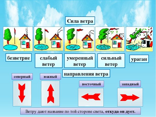 Сила ветра для детей