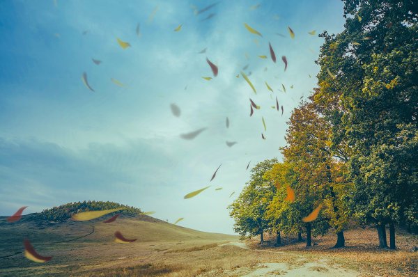 Дует сильный ветер