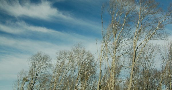 Сильный весенний ветер