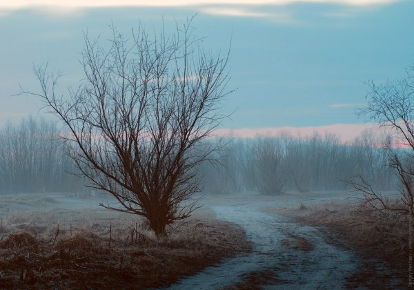 В осеннем тумане в январском снегу