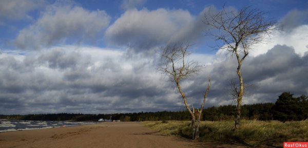 Ветреная Весна