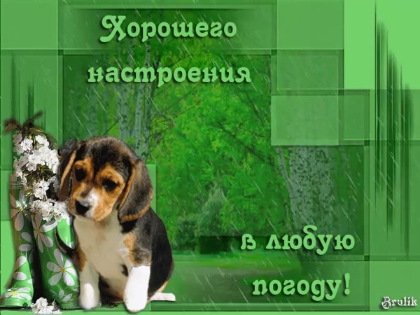 Хорогегонастроенич в оюбкю погоду