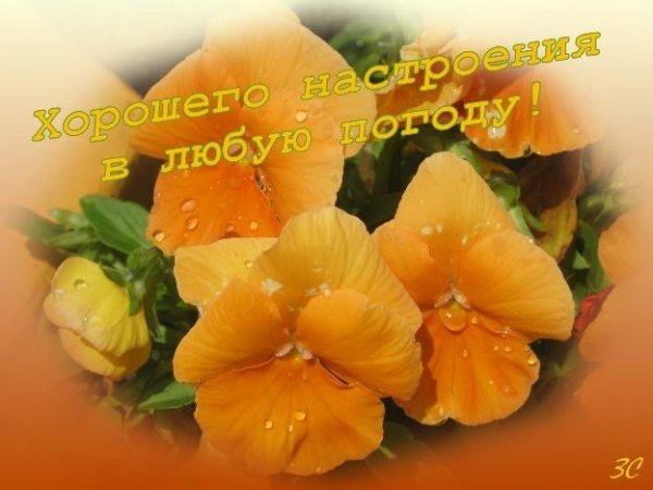 Открытки хорошего настроения в любую погоду
