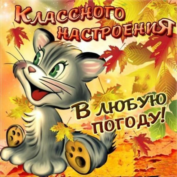 Хорошего настроения в любую погоду