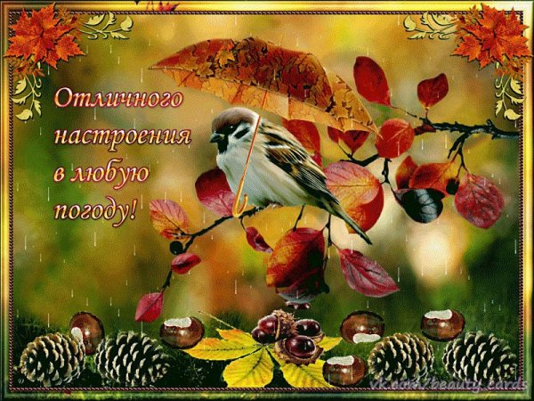 Хорошего осеннего дня