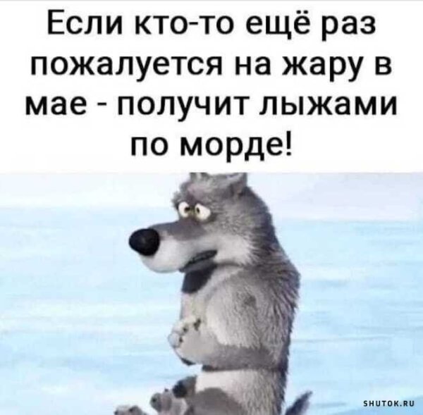 Смешные картинки с надписями 2022 прикольные