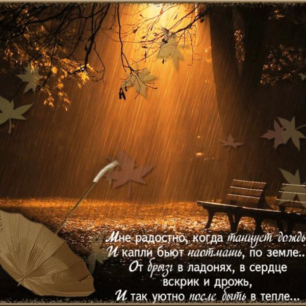 Осенний вечер цитаты