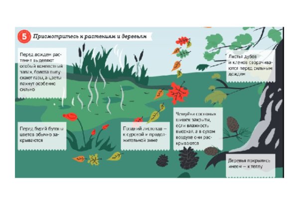 Предсказание погоды по народным приметам