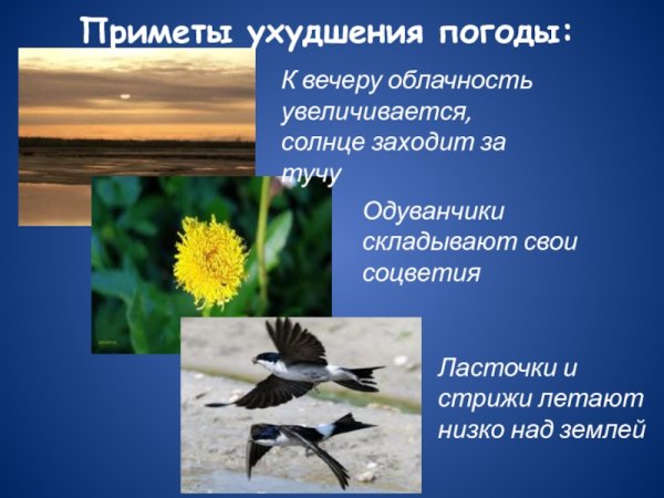 Презентация на тему народные приметы