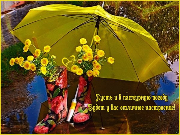 Зонтик с пожеланиями