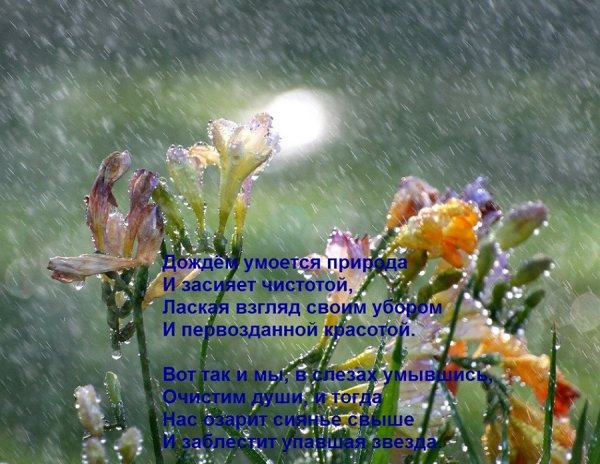 Стихи о Дожде красивые