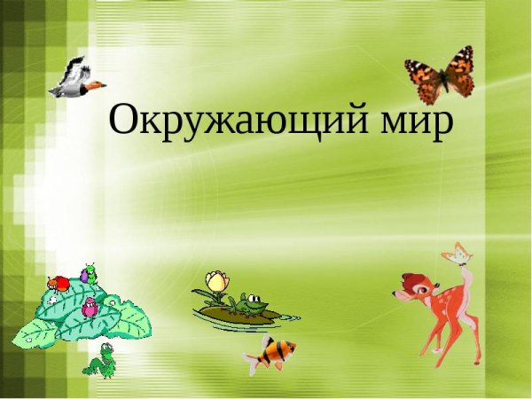 Урок окружающего мира