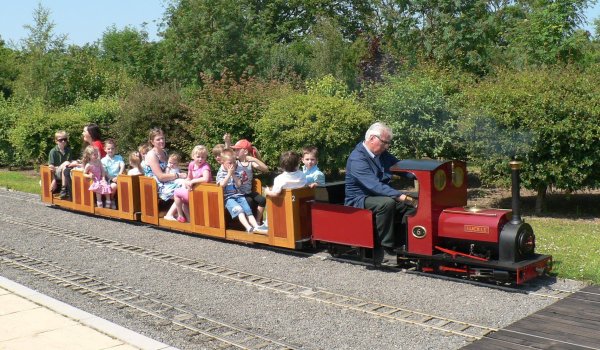 Паровозы ДЖД аттракцион