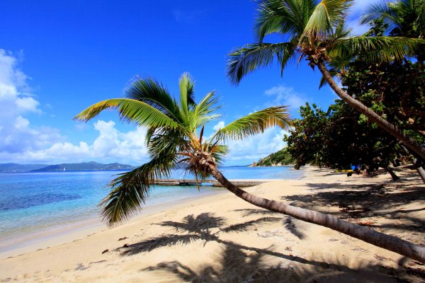 Тропический пляж