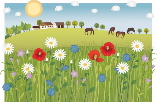 Летней луг для 1 класса