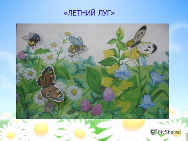 Картинки луг для детей дошкольного возраста