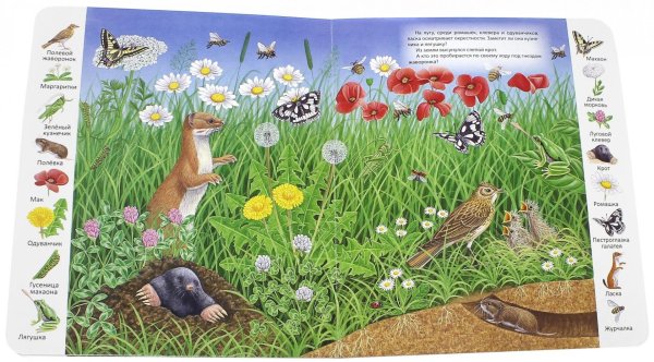 Луг и его обитатели