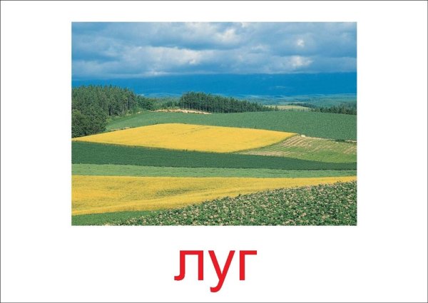 Модель Луга для детского сада