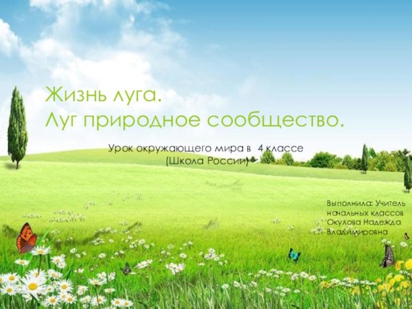 Путешествие на лесную поляну