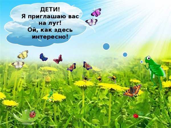 Луг для дошкольников