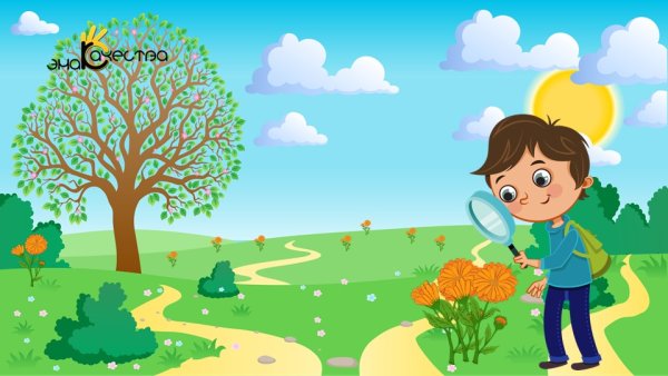 Что такое природа для дошкольников